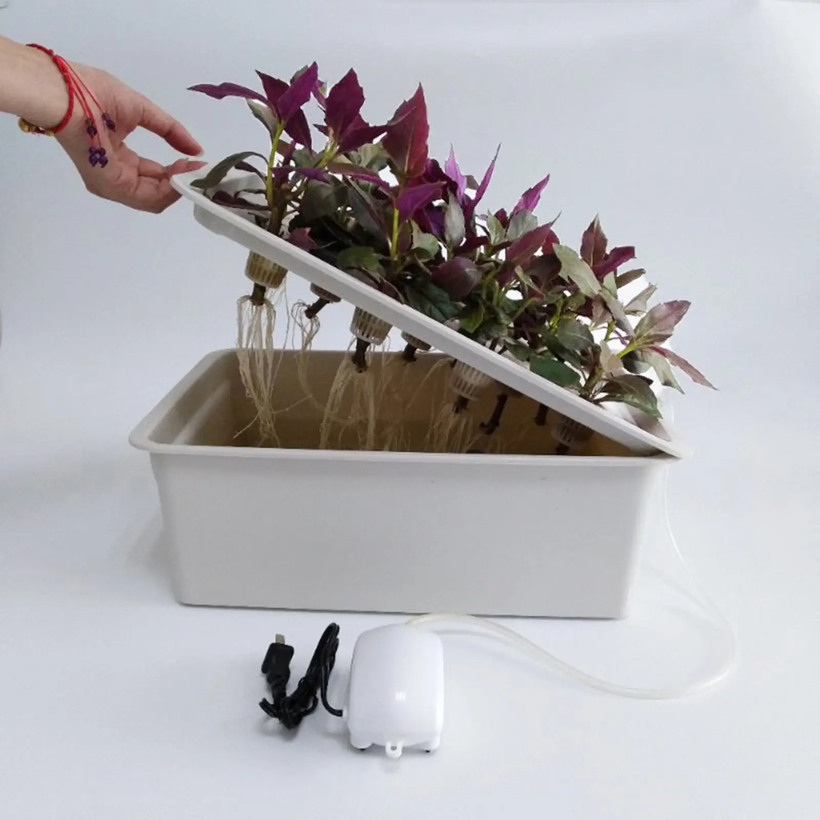 

Hydroponic Growing System Kit Indoor Cultivation Plant Box Herb Vegetables