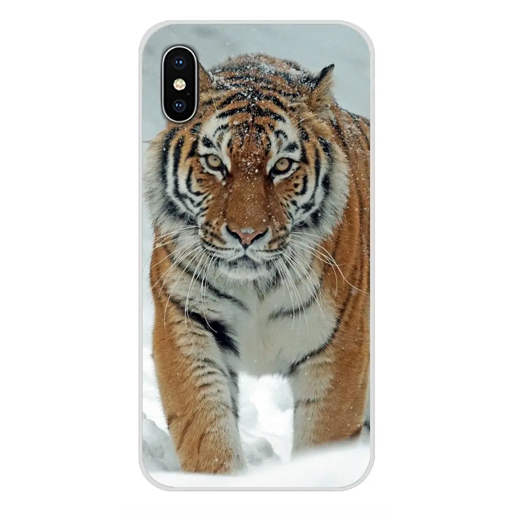 Мягкий прозрачный чехол с изображением животных тигра белого цвета для Samsung A10 A30