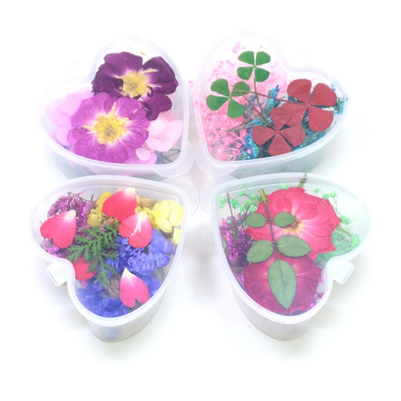 1 упаковка красочные натуральные высушенные цветы красота натуральная Флора УФ