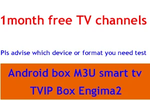 1 month iptv Лучший стабильный скандинавский IP ТВ скандинавский IPTV код для Швеции, Норвегии, Германии, Великобритании, США, для Android, ios, m3u, smart tv, IP box - Цвет: 1 month iptv