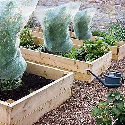 5 упаковок садовых сетей для защиты растений с веревкой, защитный чехол для томатов, садовые защитные мешки для растений для овощей