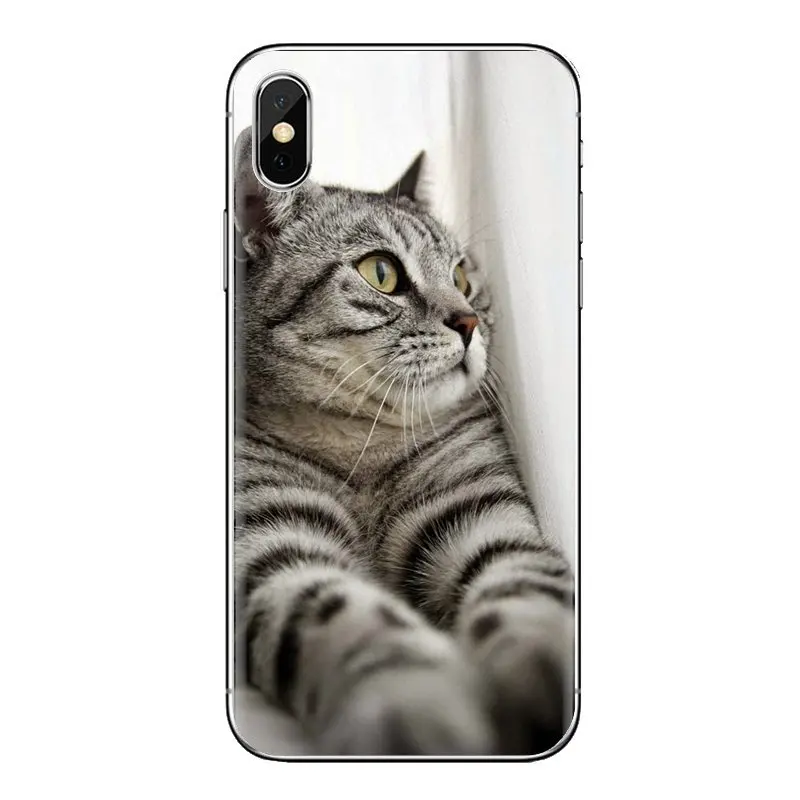Мягкие прозрачные чехлы с милыми котятами голубыми глазами для Xiaomi Redmi 4 3 3S Pro mi 4i 4C