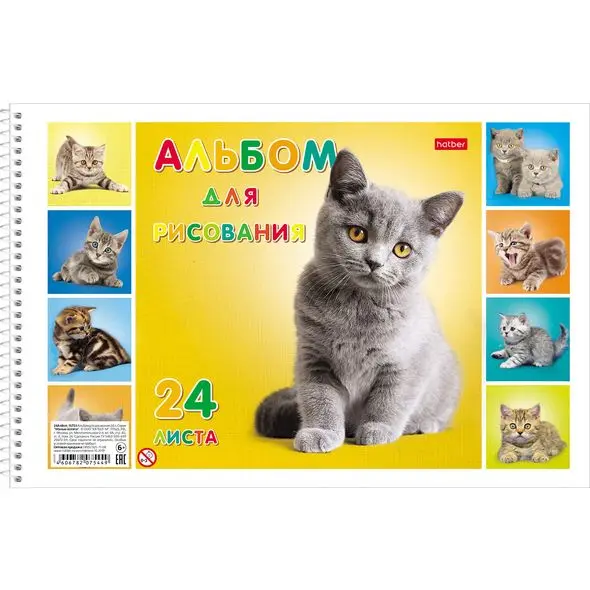 Набор альбомов для рисования Hatber &quotМилые Котята&quot 24 л. х 5 шт. А4 спираль