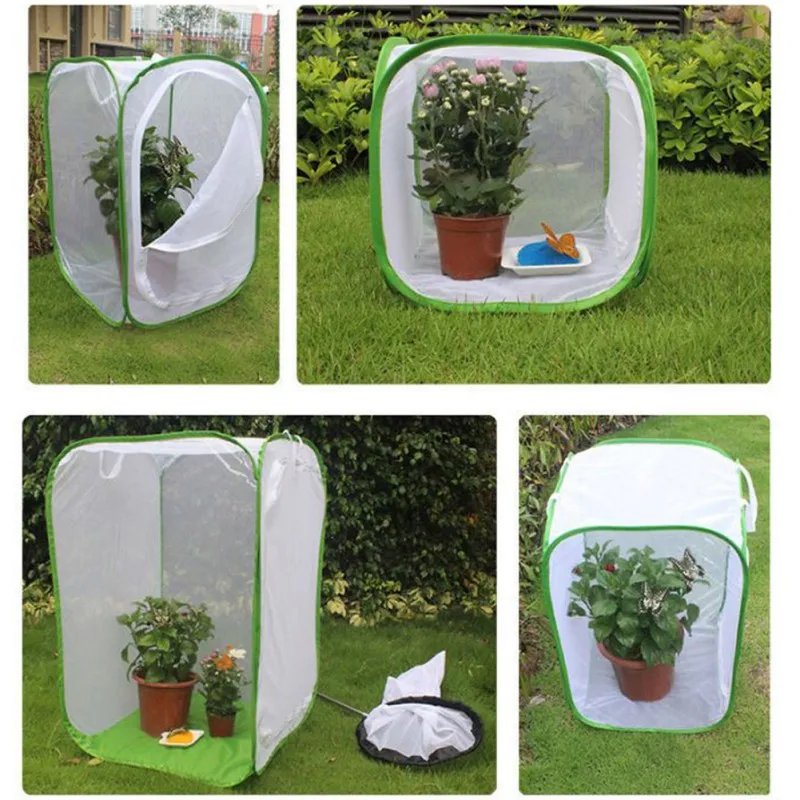 Портативный бабочка Богомол Палочник насекомых среды обитания клетки которые