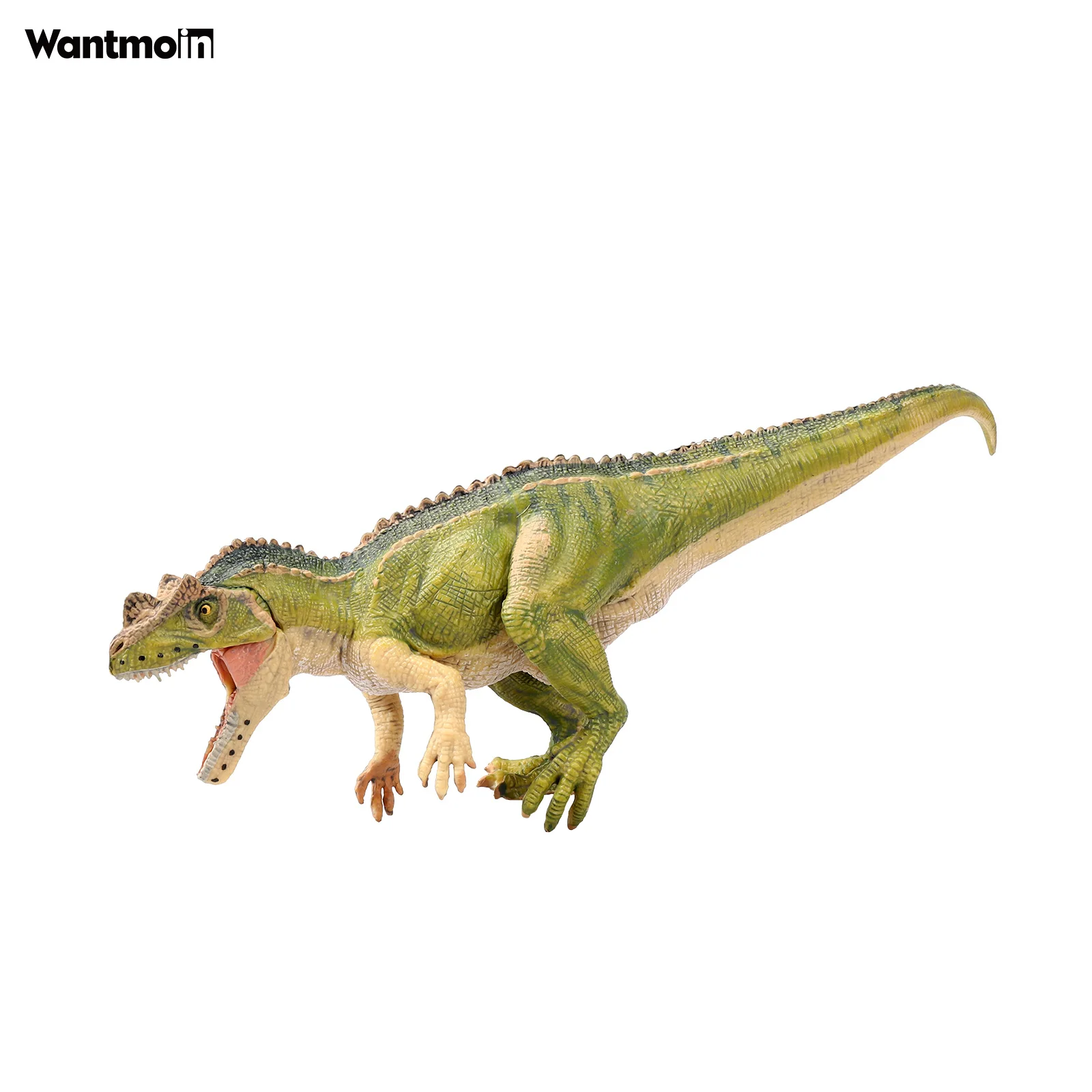 

Wantmoin Dinosaur Collection Model Toy Ceratosaurus-Children Education Simulation Jurassic ornament Animal Gift