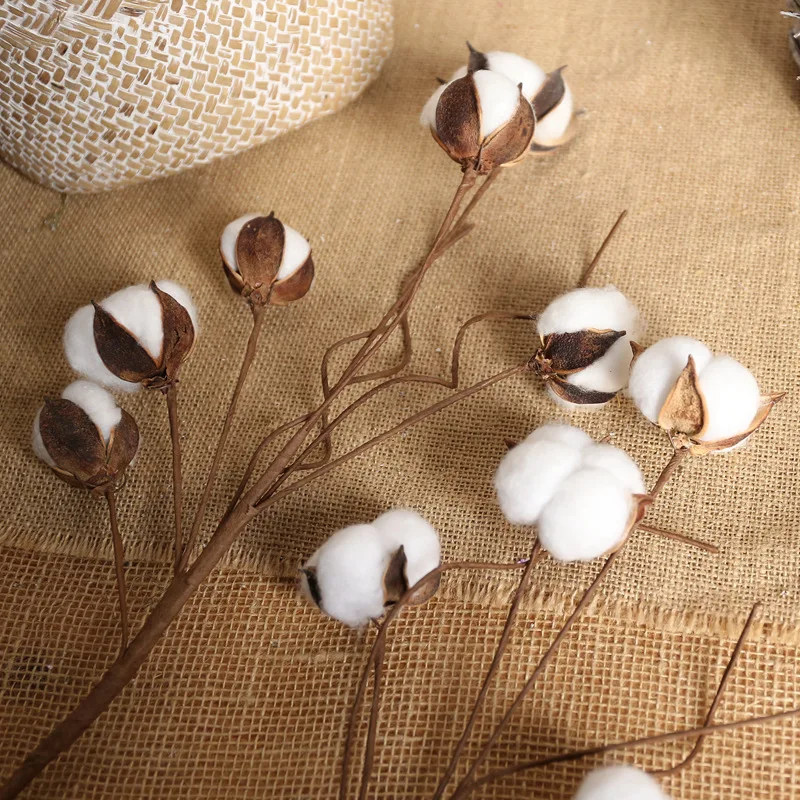 Искусственные цветы из натурального высушенного хлопка 6 цветов|Искусственные и