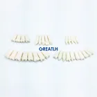 28 шт., стоматологические Искусственные зубы для имплантации