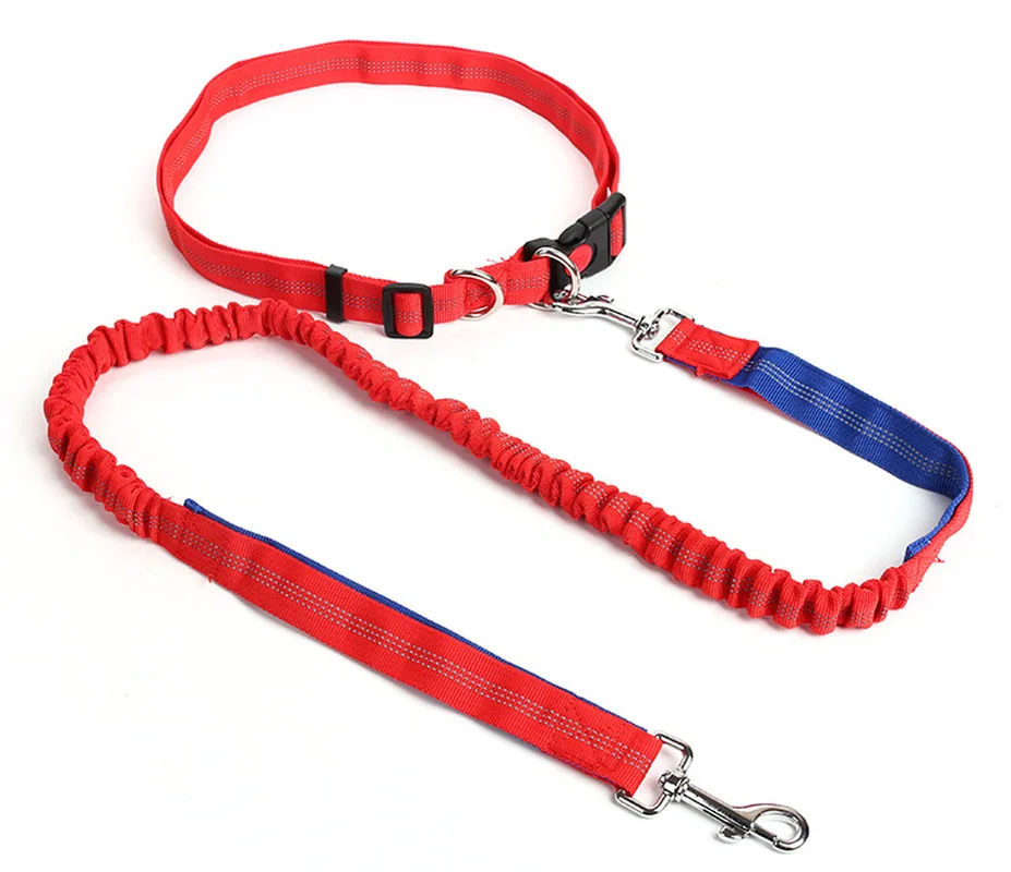

Pet supplies spot wholesale explosion-proof red elastic nylon pet running traction rope walking dog leash