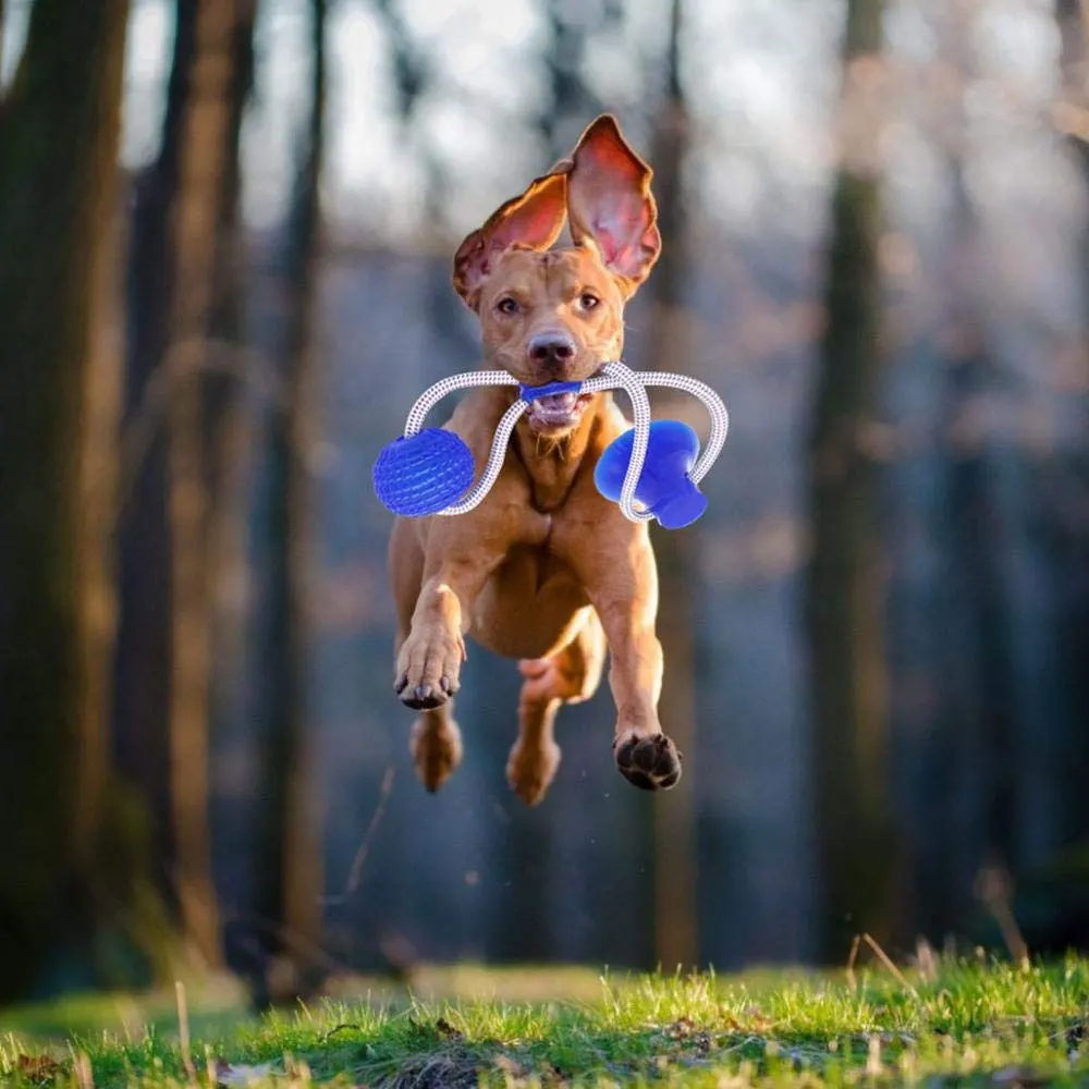 Многофункциональная молярная укуса для домашних животных резиновая игрушка