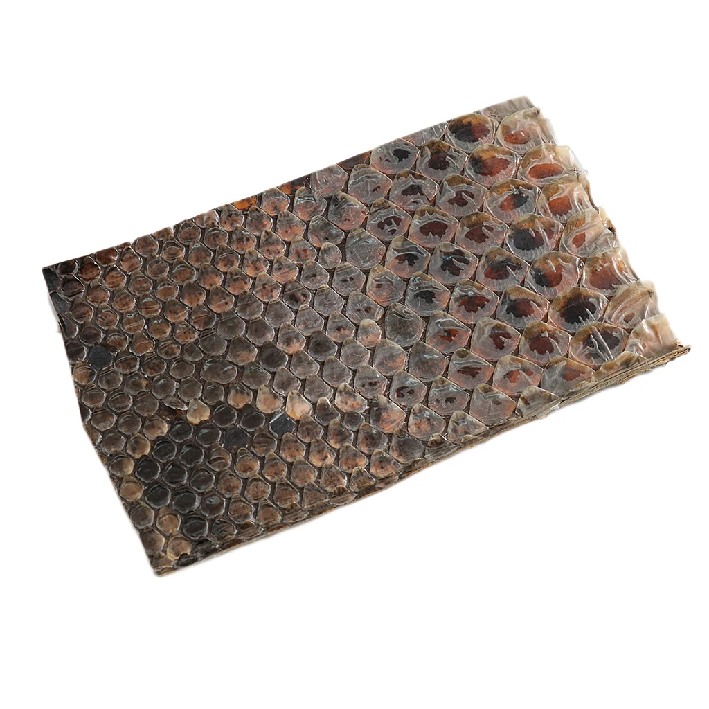 Durable Erhu Side Skin Snakeskin for Erhu-player DIY Accessory |