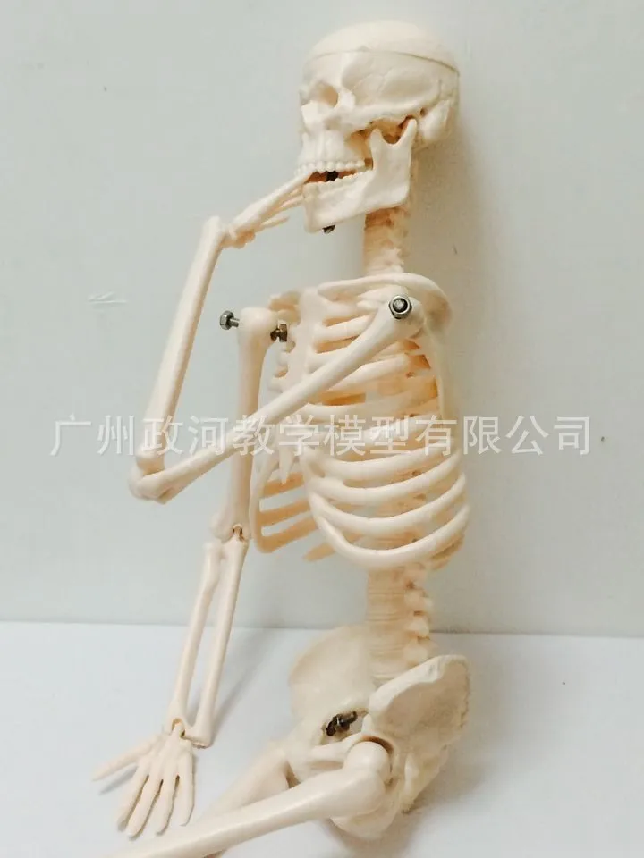 Штатив для медицинских целей 45 см | Канцтовары офиса и дома