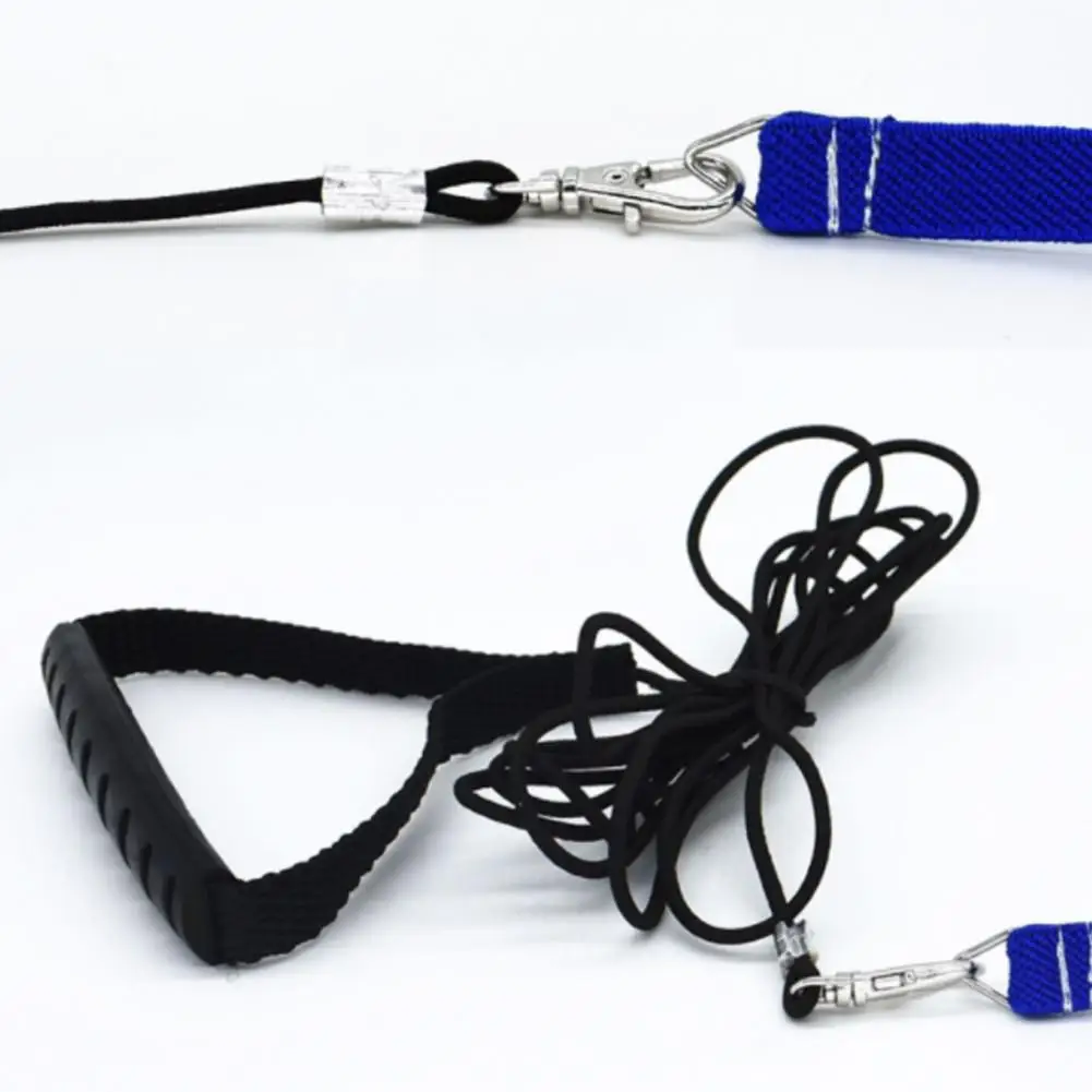 

Pet Parrot Bird Harness And Leash Flying Rope Straps Outdoor Training Traction Rope For Budgerigar Lovebird Cockatiel Mynah