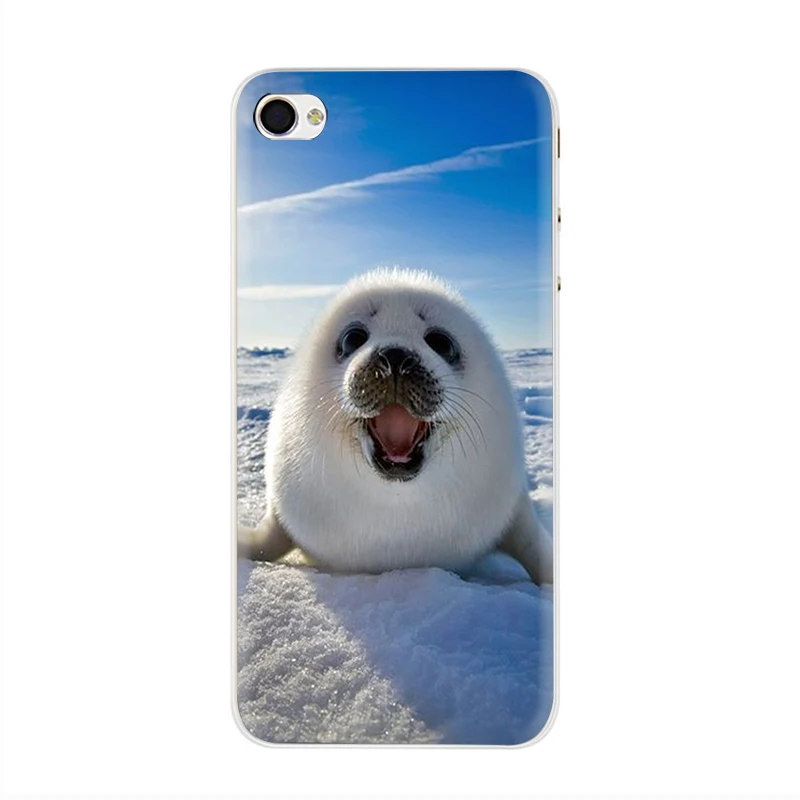 H4 Жесткий чехол для телефона EWAU Baby harp Seal Sea Lion чехол для iPhone 5 5S SE 5C 6 6s Plus 7 8 Plus X XR XS 11 Pro MAX - Цвет: H4