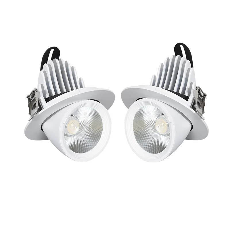 

LED Downlight 7W 12W 20W 30W 40W Adjustable 360 COB Ceiling Elephant Trunk Downlight AC85-265V Home Lighting