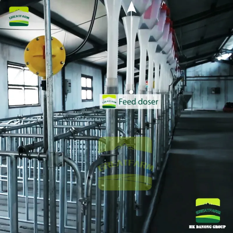 Китайская Современная свинья ферма с полностью автоматизированной системой