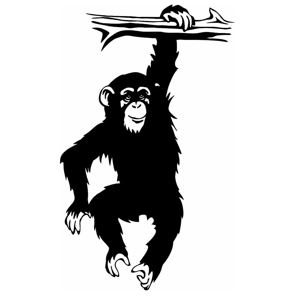 

Chimpanzee Monkey Animal Decal Cute And Interesting Fashion Sticker Decals