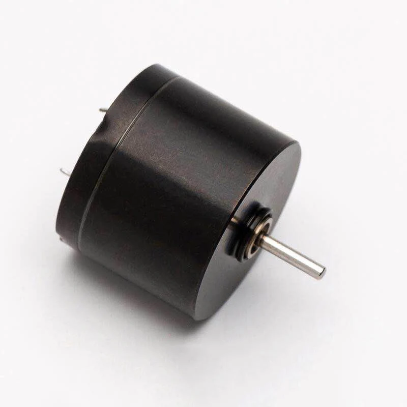 Motor de Alta Forte da C.c. de 2021 12000rpm para a Máquina da Tatuagem Velocidade Bonde Coreless Magnético * 16mm 12v 20mm