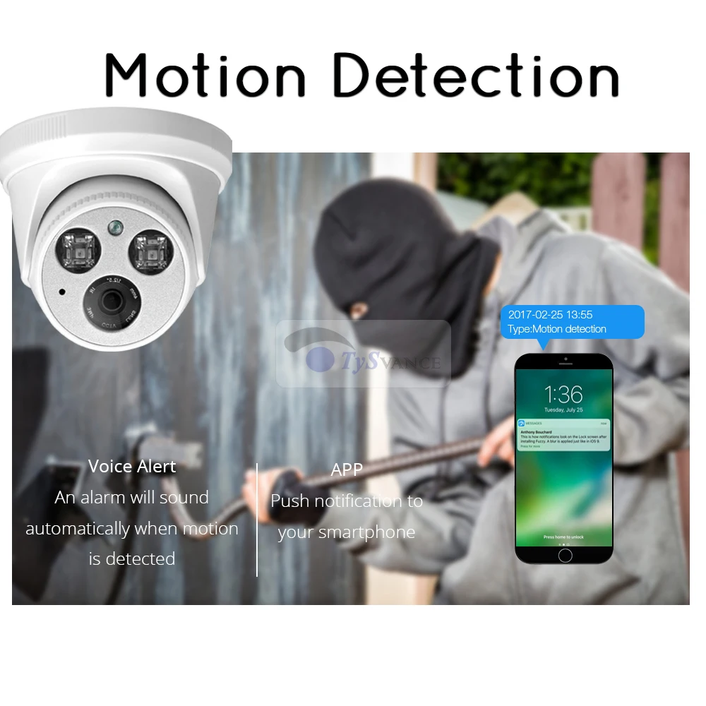 TySvance Audio 1080P POE Full HD IP камера 3 6 мм широкоугольный 2MP купольный инфракрасный ночное