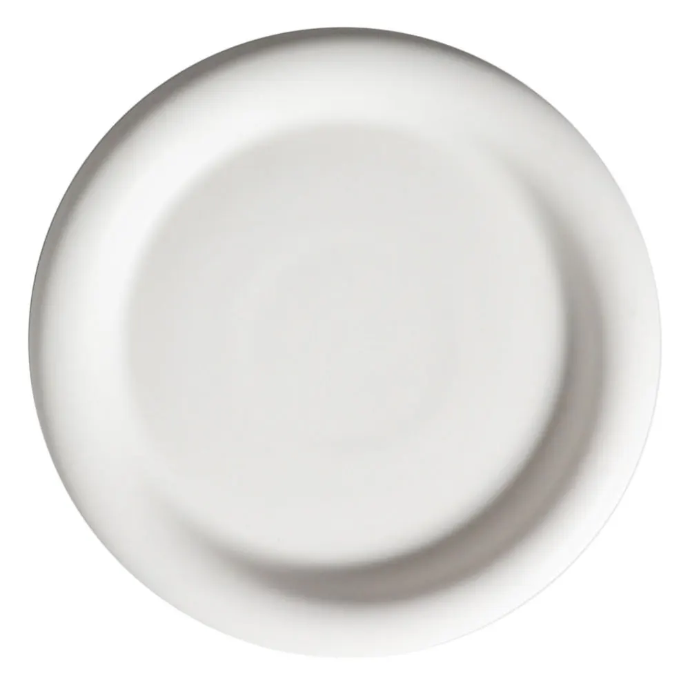 

1pc European-style Ceramic Steak Plate Exqusite Western Food Storage Plate