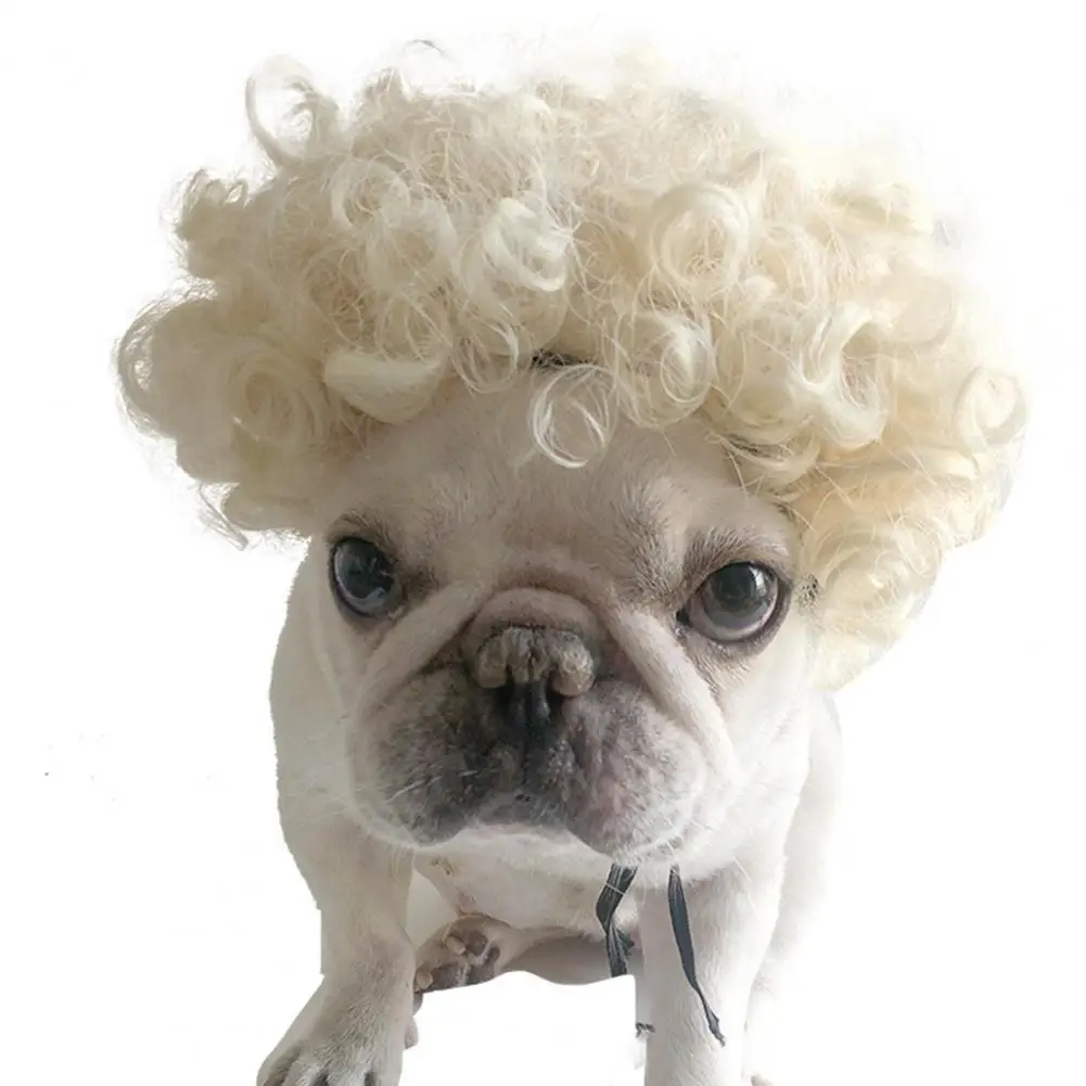 Яркие милые декоративные волосы мягкие товары для домашних животных парик из