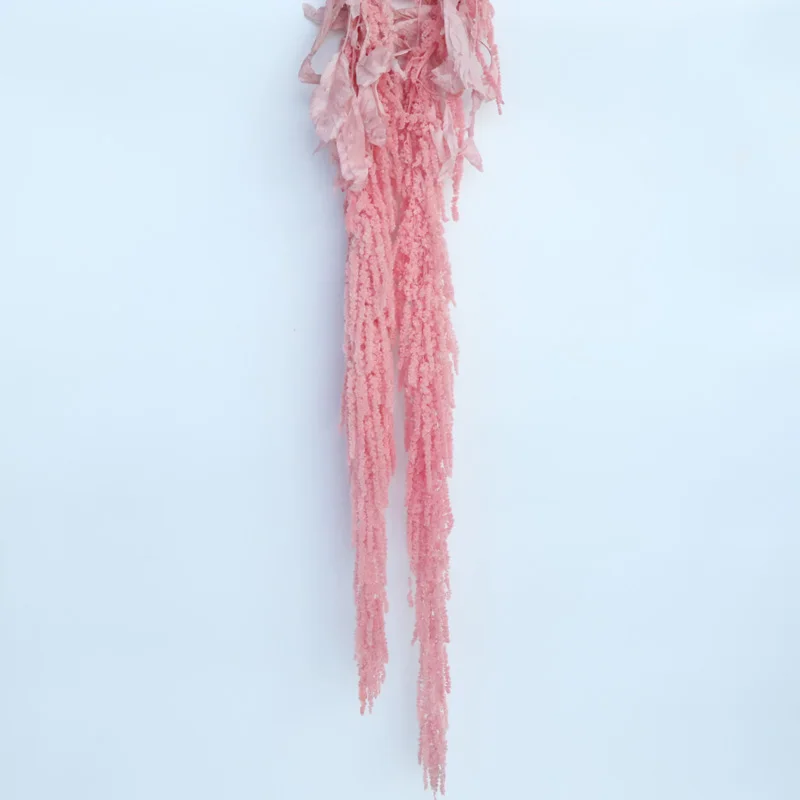 Букет сухих натуральных цветов Amaranthu 60 см сохраненное просо длинные мягкие