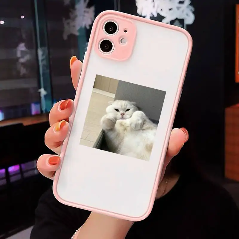 

cat Phone Case matte transparent For Pink iPhone 7 8 x xs xr 11 12 pro plus max mini Clear Funda