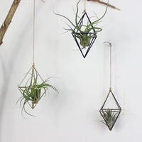 new freestanding hanging planters geometric swing wrought iron tillandsia air plants holder triangular shaped metal rack