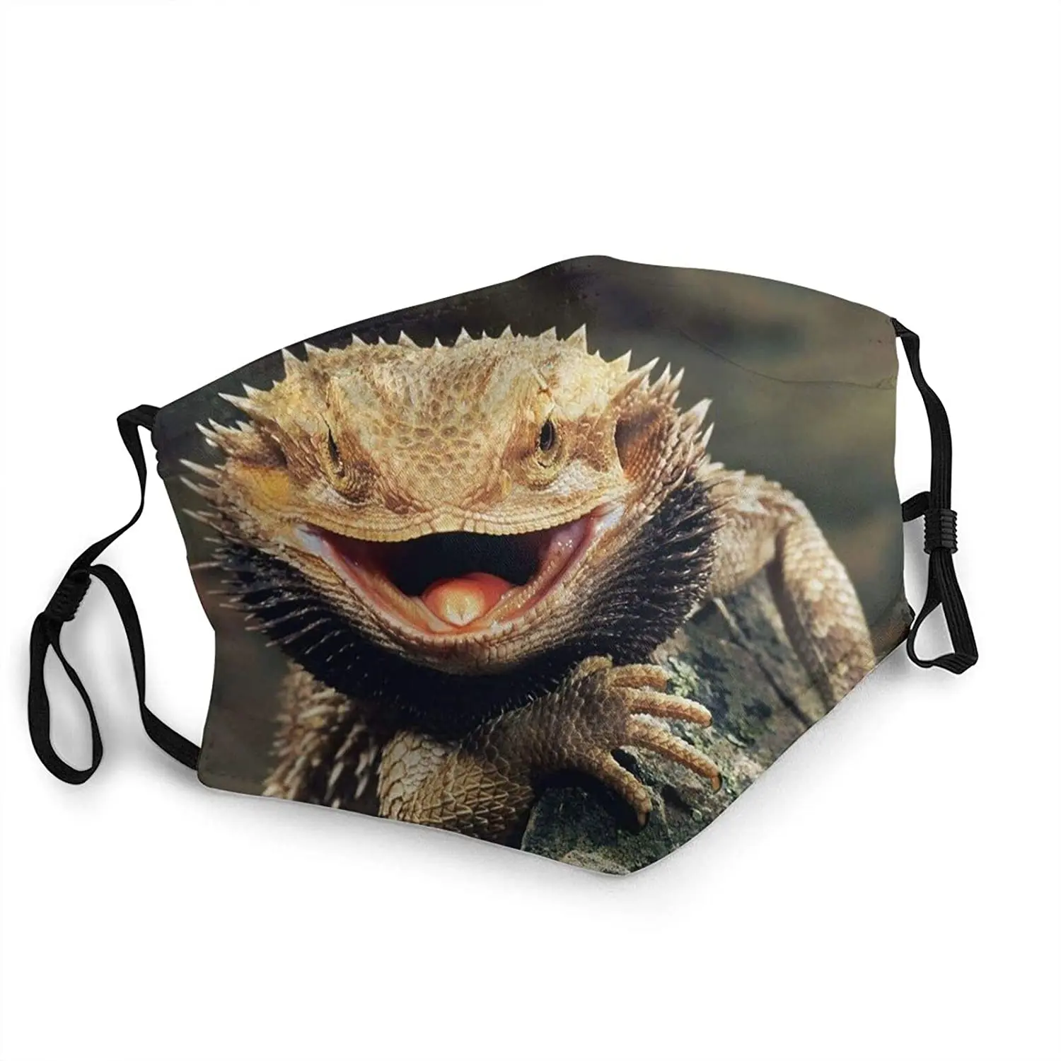 

Funny Lizard Reptile Pet Lover Gift Mouth Covering Washable Reusable Fabric Face Mask with Filter