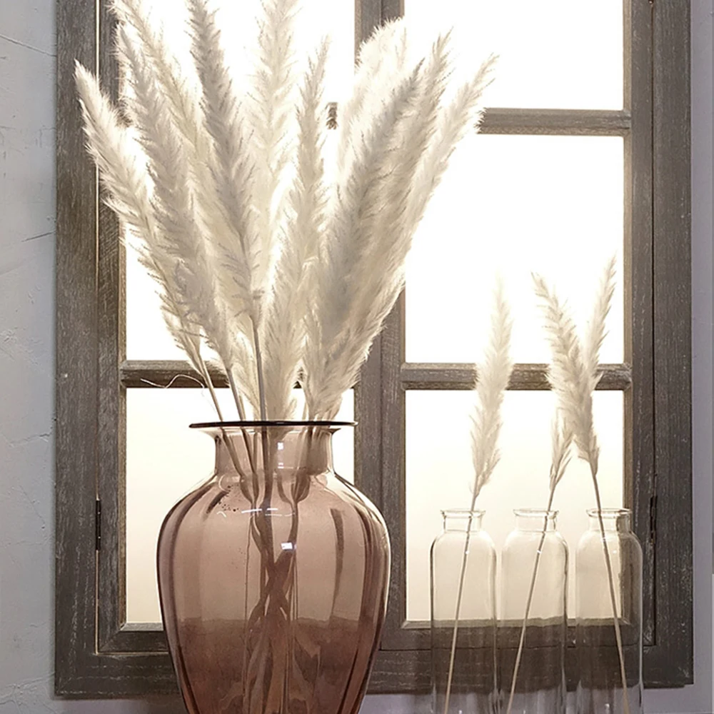 7 шт. натуральные сухие небольшой пампасной травы Phragmites Communis растения