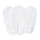 10 шт., декоративные перья страуса, 15-20 см25-30 см30-35 см