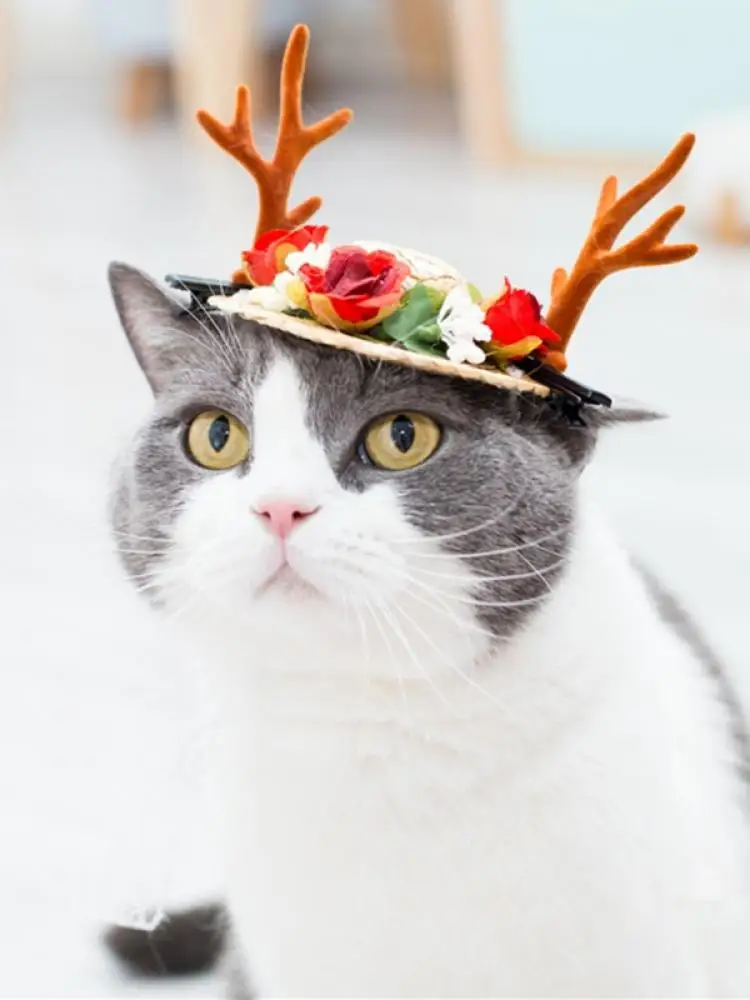 2021 ПЭТ ремень соломенная шляпа Милая собачка кошка шляпа-сомбреро Pet