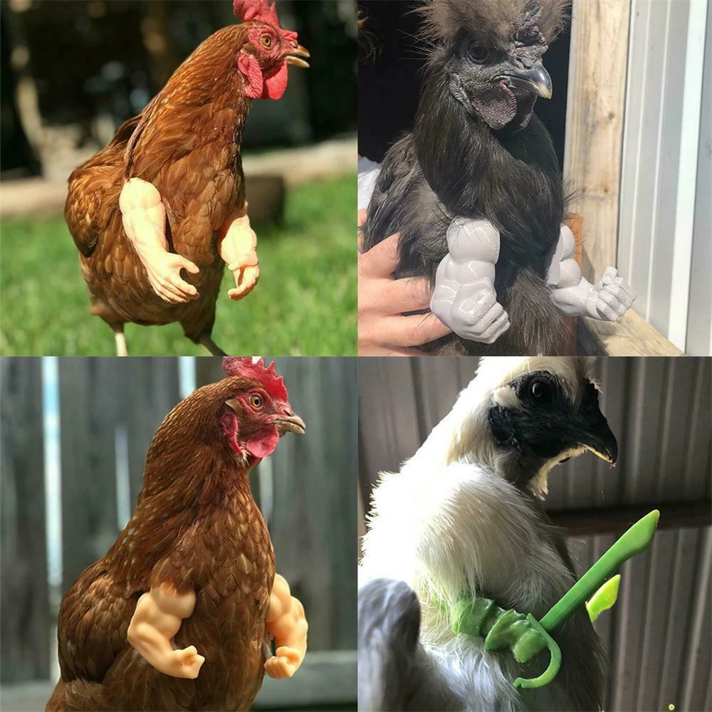 

Muscle Chicken Arms Gag Gifts Chicken Arm for Chicken to wear Muscle Arms New