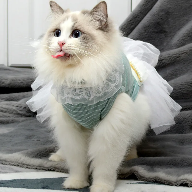 Одежда для кошки Сфинкса на лето тонкое кружевное платье принцессы домашних