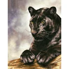 5D алмазная живопись, Черная пантера, алмазная вышивка, животный узор, вышивка крестиком, мозаика Стразы, кухня, домашний декор, подарок