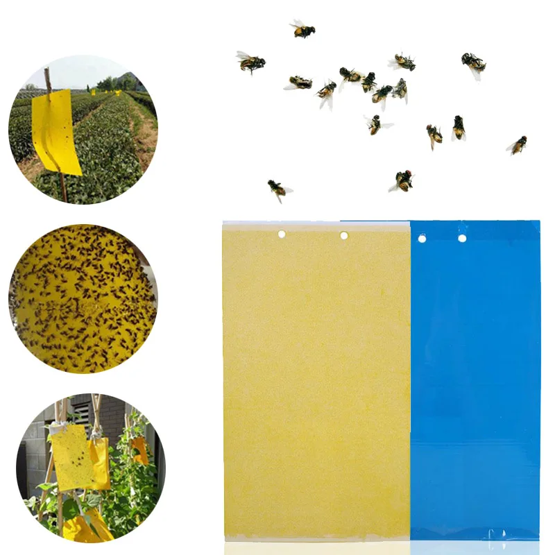 Paper Fly Trap Board Leaf Miners Fungus Gnats Tree Vegetable Garden Flies Traps Hanging Home for OutDoor Insects Killer Aphids | Дом и сад
