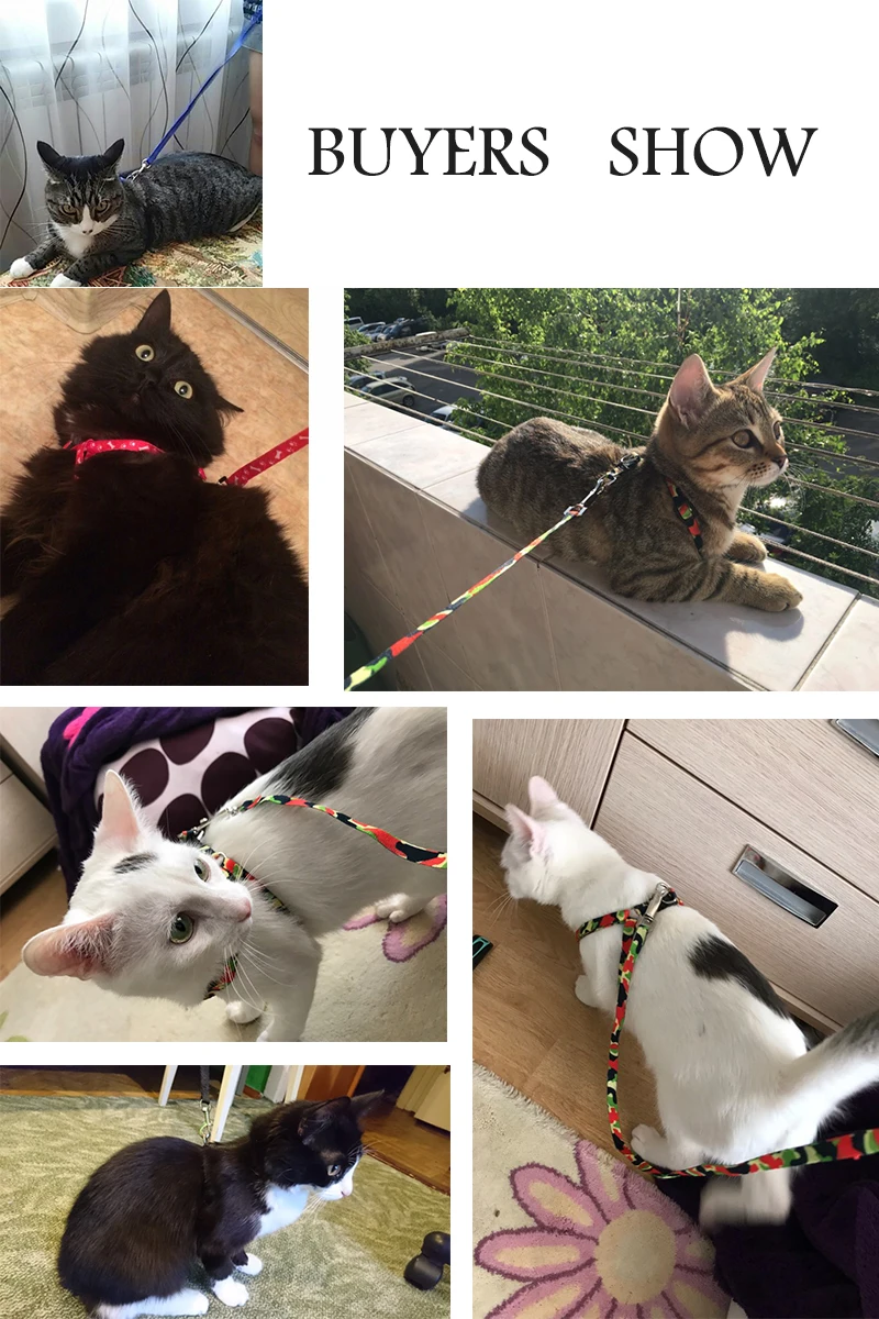 Кошачий собачий ошейник шлейка и поводок регулируемый нейлоновый Pet тягового котенка Холтер воротник кошки товары для домашнего животного привязного ремня