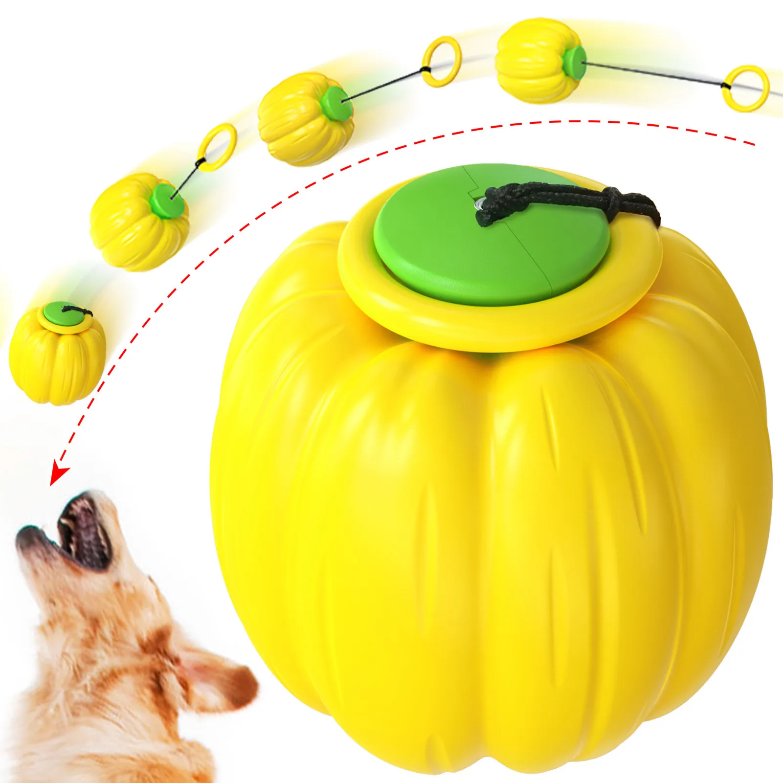 

Dogs Ball Throwing Toys Fetch Balls For Dogs Dogs Chewing Ball Molar For Catch Throw Tug Of War Automatic Telescopic Interactive