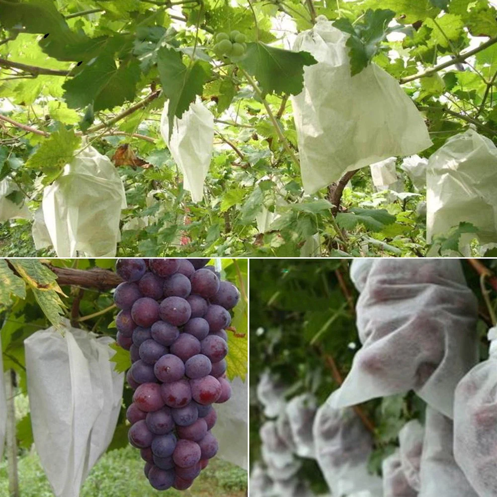 20 шт. нетканые ткани защита от насекомых в виде птичьих пчел Защитная пленка для