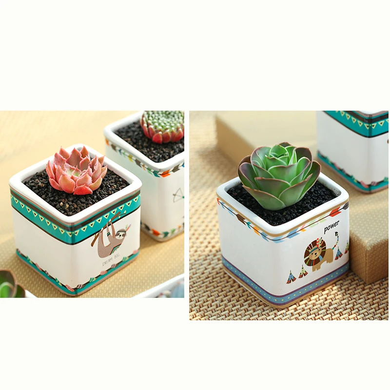 Яркий фотографический индивидуальный цветочный горшок для мяса белый