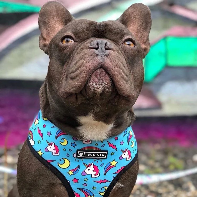 French Bulldog Harness Printed English Frenchie Reversible Puppy Small Dogs Vest for Pug Walking Training | Дом и сад