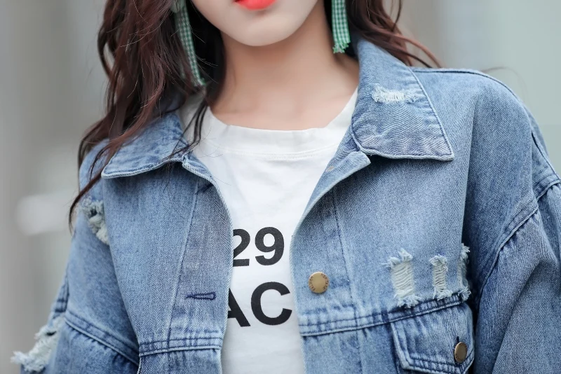 2019 New Ladies jacket，Large Size Spring And Autumn Coat， Loose Korean Bf Embroidery Flower Short Denim Clothing Tide CH797 | Женская