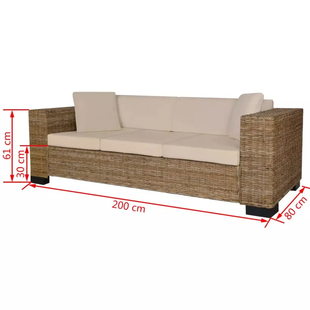 Good Quality Rattan Sofa Couches VidaXL Authentic Three Person Set 2 Back Cushions Pillows Wood Sofas | Мебель