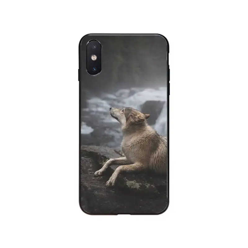 Чехол для Телефона iphone 12 7 8 Plus X XS Max XR чехол 5s SE 2020 6 6s 11Pro | Мобильные телефоны и