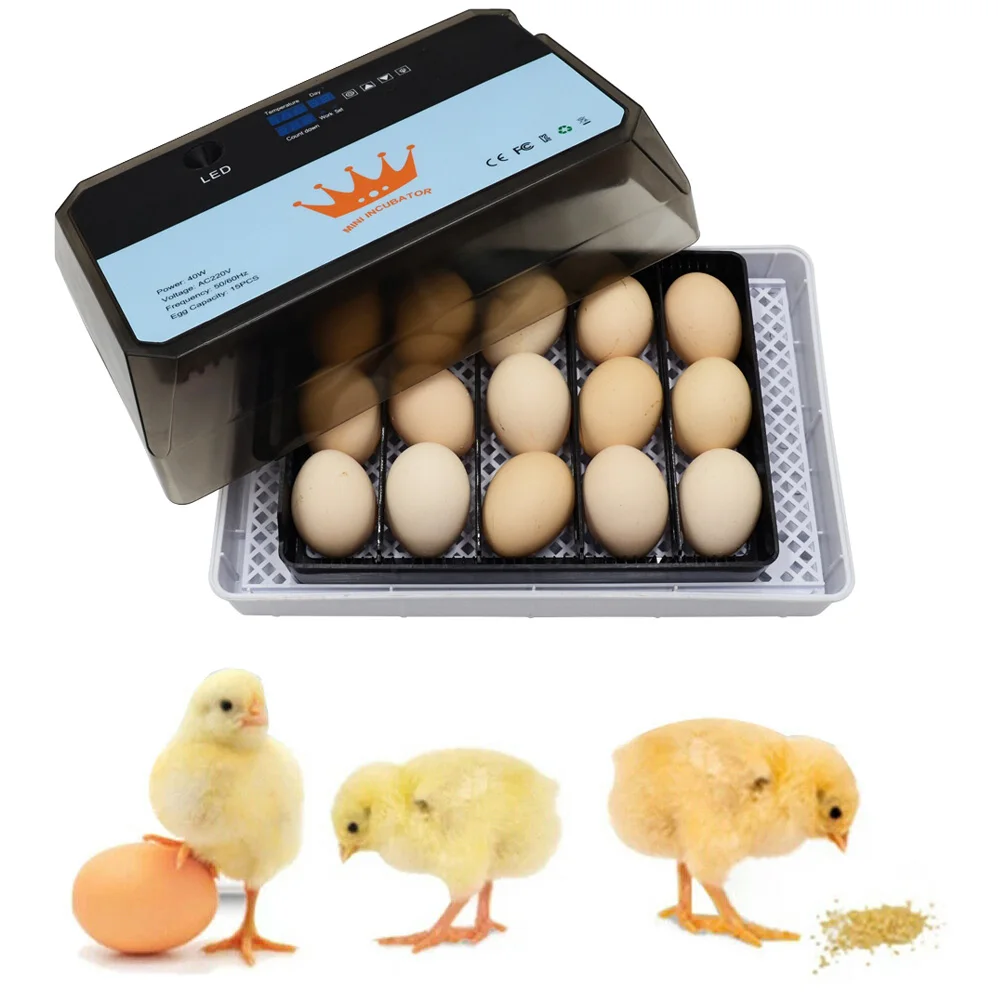

Super Farm Hatchery Incubator Brooder Machine 15 Egg Hatchers Chicken Automatic Eggs Incubator Bird Quail Brooder Temperature
