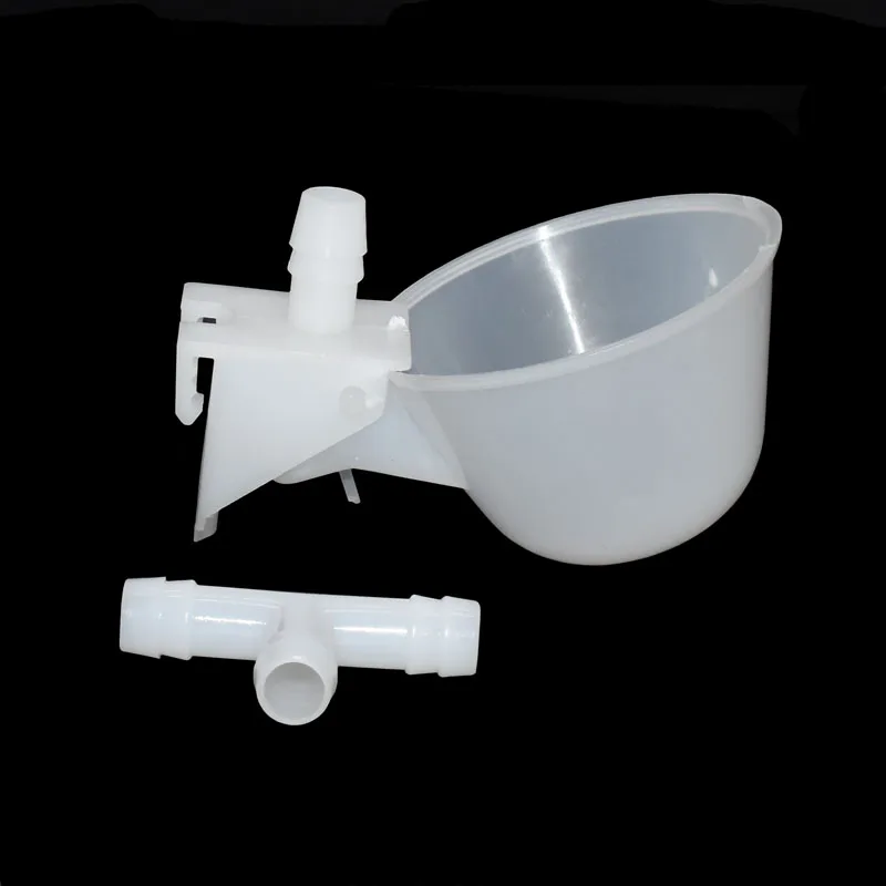 Чаши для перепелок питьевые чаши курицы 100 шт. стеклянные птиц инструменты