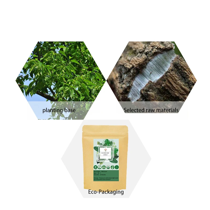 Чистый натуральный экстракт эвкоммии Ulmoides порошок 20:1 артериальное давление Iower