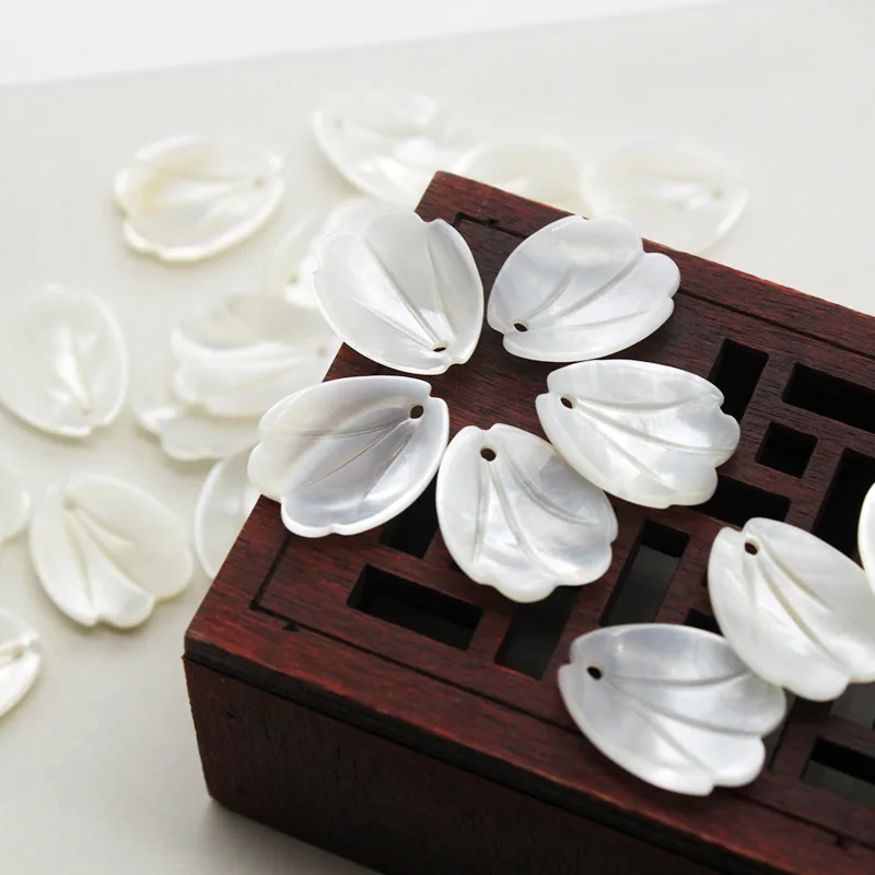 5 шт./пакет натуральная перламутровая Бегония Хризантема ракушка цветок