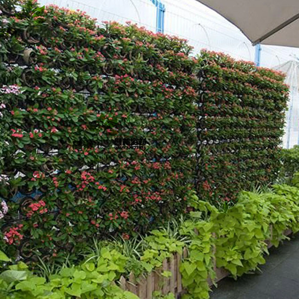 

1PC Planting Bags Wall Mount Hanging Home Supplies 64 Grids Pockets DIY Grow Planter Bag Vertical Grow Vegetable Garden Room Bag