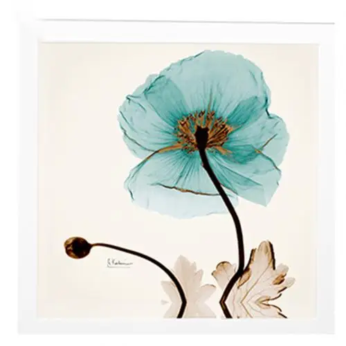 Flower Настенная картина, живопись, складной органайзер для хранения на полке, ванная комната, одежда, шкаф, туалет, водонепроницаемые настенные украшения, ящик - Цвет: Flower