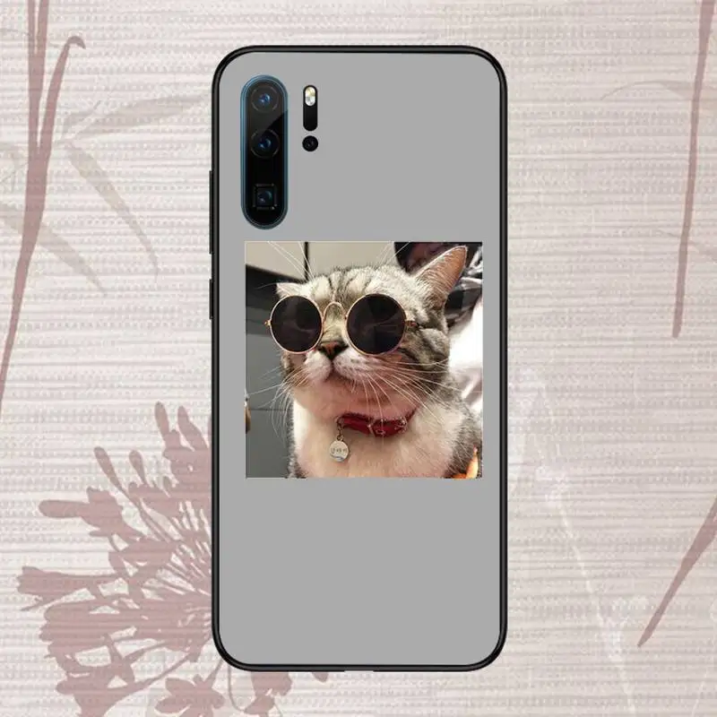 

Cute cat puppy pet Phone Case For Huawei P20 P30 P40 lite Pro P Smart 2019 Mate 10 20 Lite Pro Nova 5t